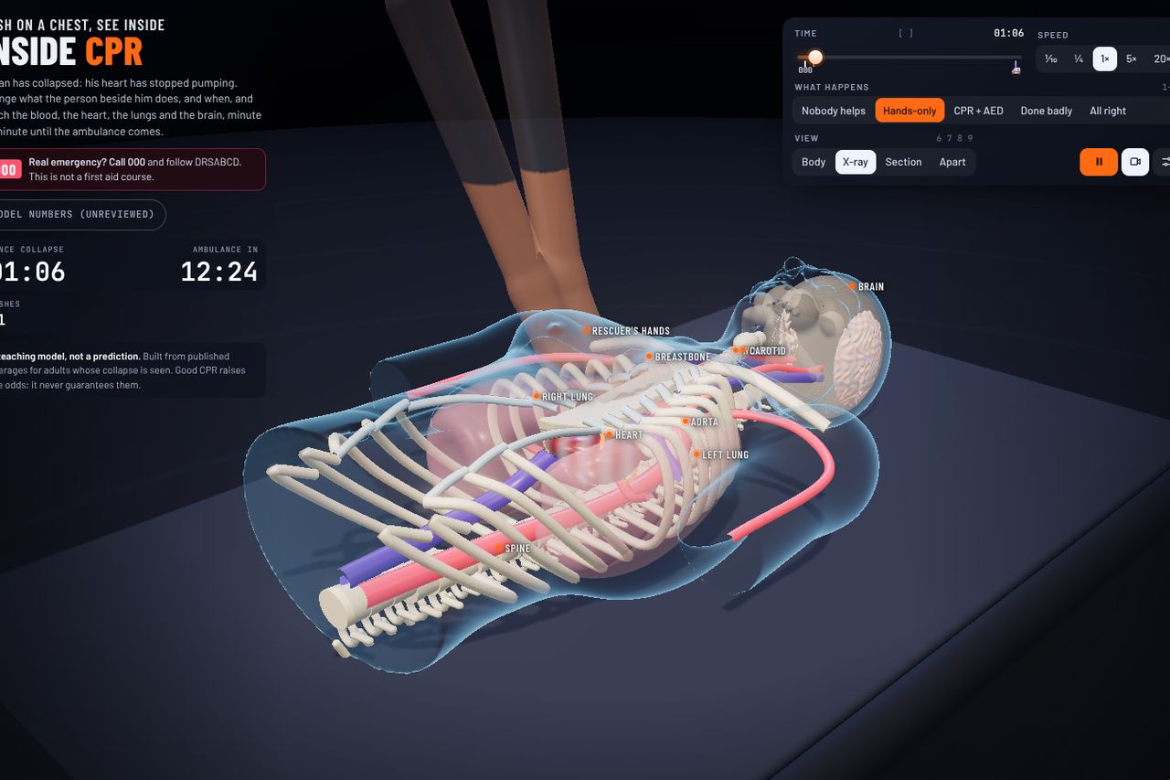 CPR simulator in a browser, screenshot.